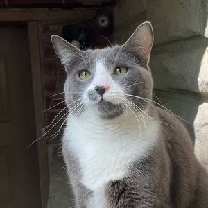 Meet your Posher, Teresa